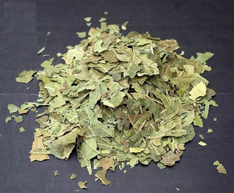 Green Organic Dried Neem Leaves Packaging Type Loose Grade A Grade