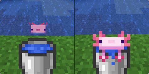 Everything You Need To Know About Axolotl In Minecraft