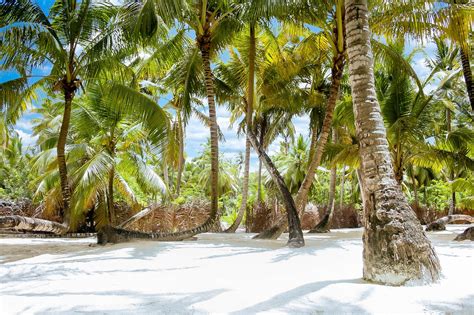 🎖 Saona: 5 razones para visitar la hermosa isla Saona