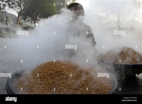 Bangladesh Women Food Hi Res Stock Photography And Images Alamy