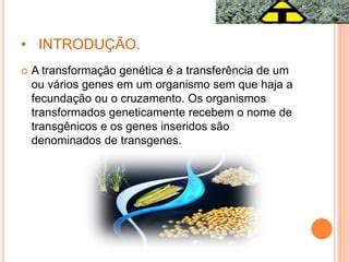 Como É Formada A Palavra Transgênico - Organismos transgênico. | PDF