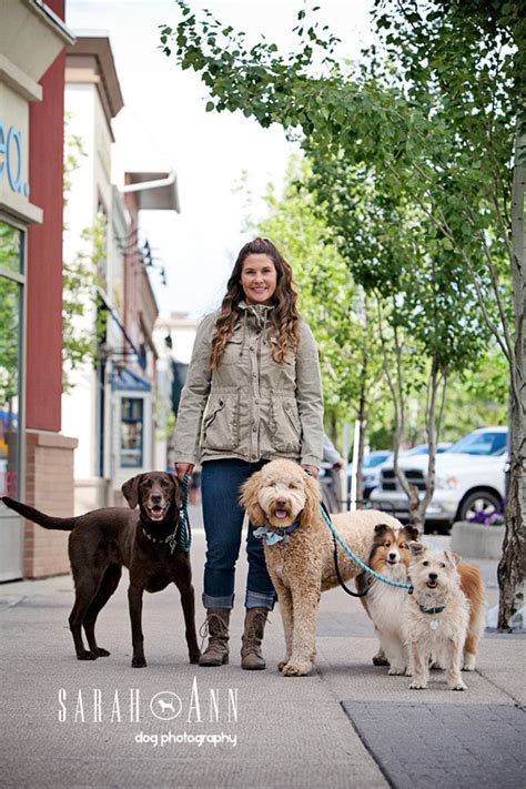 See Spot Run Calgary Pet Photography Sarahann Dog