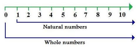 Whole Numbers and Natural Numbers ~ I Answer 4 U