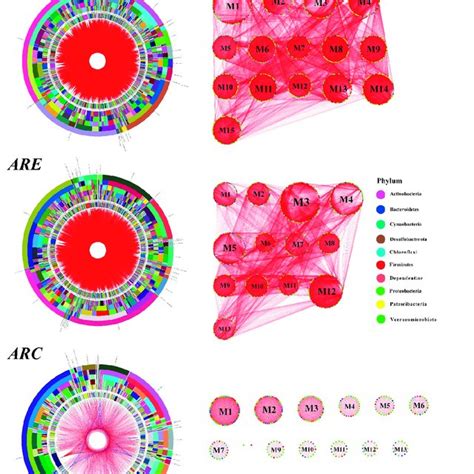 Microbial co-occurrence subnetworks and their modularity. (a) The ...