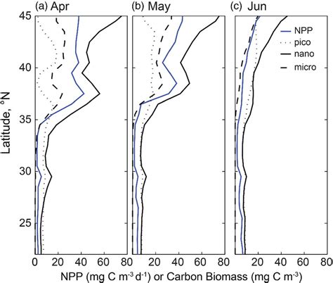 Net Primary Production Npp And Biomass In Three Phytoplankton Size