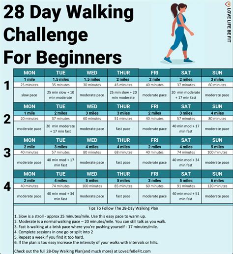 Day Walking Plan For Weight Loss Shed Pounds And Get Fit