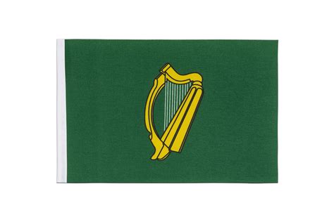 Leinster Satin Flag 6x9 Maxflags Royal Flags