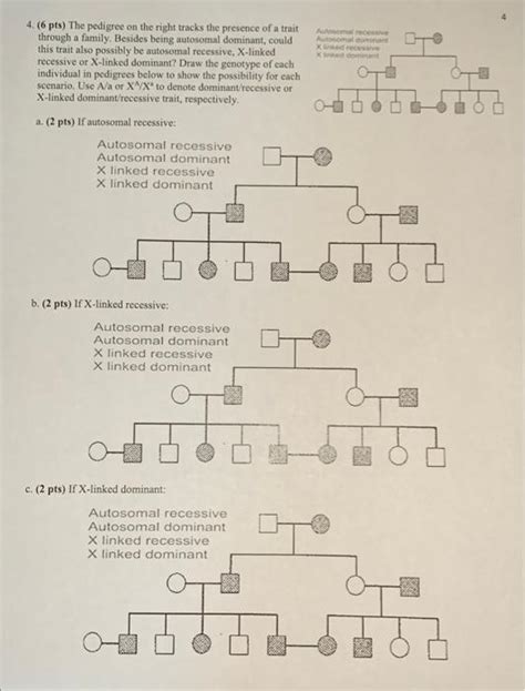 Solved Pts The Pedigree On The Right Tracks The Chegg