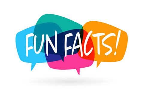 Fun Facts Png Transparent Images Free Download Vector Files 3958198