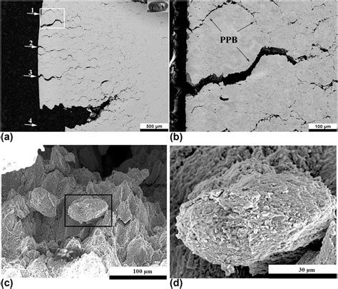 Hot Deformation Behaviors Of A New Hot Isostatically Pressed Nickel