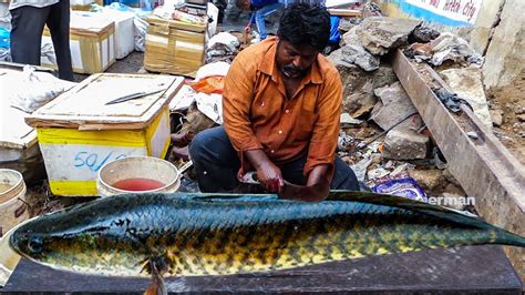 Live Fish Cutting Skills In Indian Fish Market Fisherman Youtube