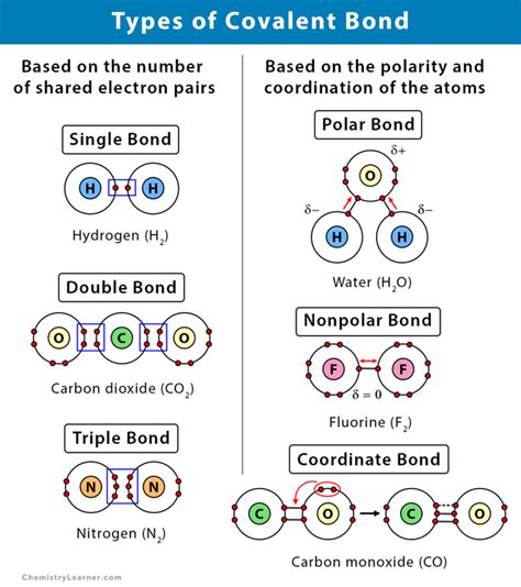 Covalent Bond: Definition, Types, and Examples