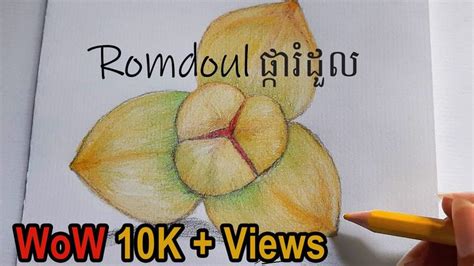 How To Draw Romdoul Flower ផ្ការំដួល National Flower Cambodia