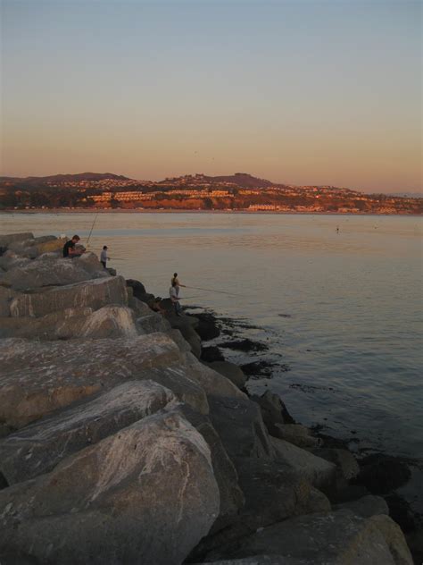 Doheny State Beach Tide Pools - October 2010
