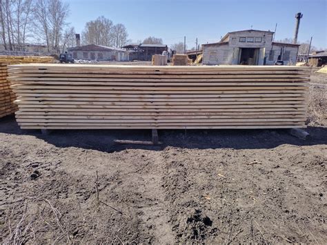 Цены – Лес Алтая