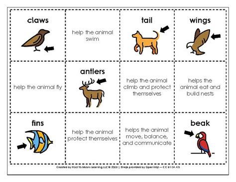 flashcards animal body parts english  root  bloom learning llc