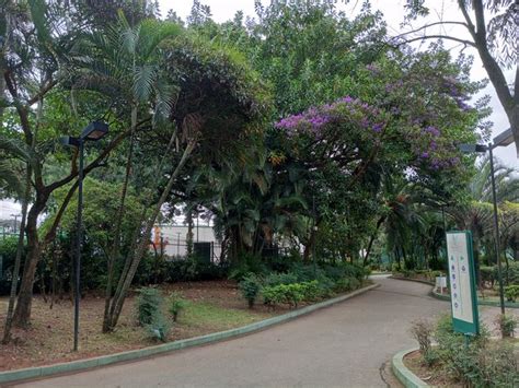 Review Infinix Hot Celular De Entrada Boas C Meras Canaltech