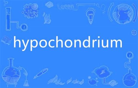 Hypochondrium百度百科