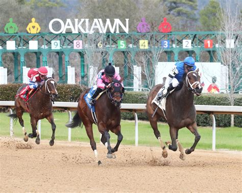 DRF's Horse Racing Playbook for Saturday, April 13, 2024