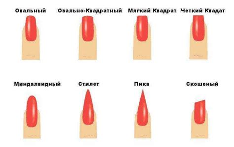 ᐉ правильный опил нарощенных ногтей схема. как правильно и красиво ...