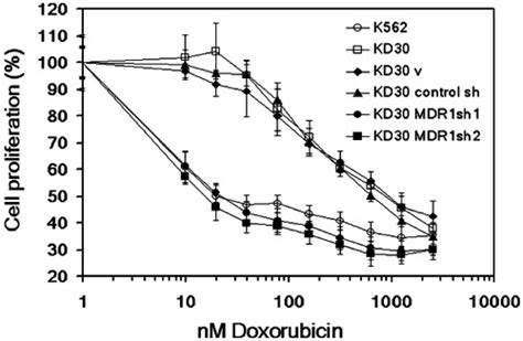 Complete Reversal Of Doxorubicin Resistance In KD30 Cells By MDR1sh1