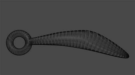 Anal Wand Dildo 3D Model By TriDsign