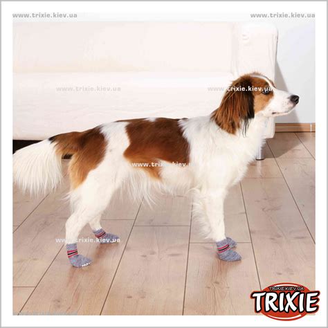 TX-19503 Защитные носки противоскользящие Trixie Dog Socks (M-L /// 2шт ...