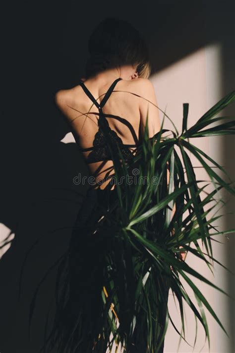 La Belle Fille Blonde Attirante Dans Un Soutien Gorge S Assied Au Soleil Image Stock Image Du