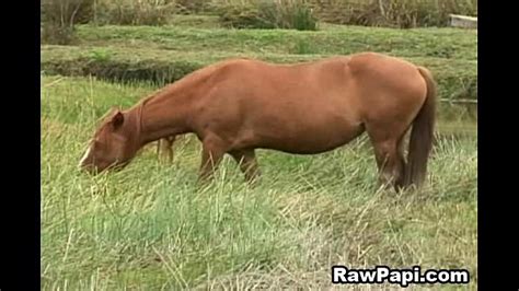 Caliente Sexy Latino Gay Anal Fuertes Hardcore XVIDEOS