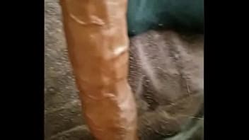 Jugando Con Una BBC XVIDEOS