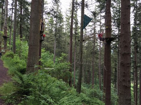 Go Ape Glentress Forest Peebles 2022 Alles Wat U Moet Weten Voordat