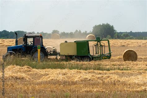 Tractor Collects Hay Bales In The Fields A Tractor With A Trailer