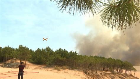 Semana del clima en América Latina riesgos y oportunidades de los mercados de carbono Infobae