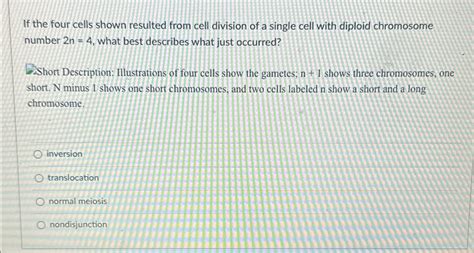 Solved If the four cells shown resulted from cell division | Chegg.com