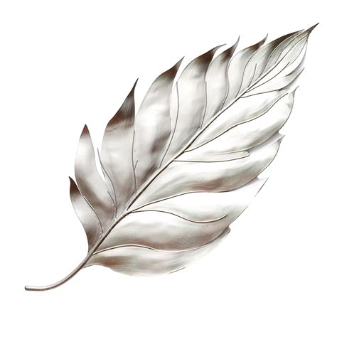 Silver Leaf Outlined Leaf Leaves Plant Png Transparent Image And