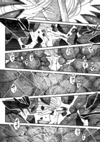 Heiqing Langjun Eisei no Kagami Kouhen 영세의 감 후편 Towako 13 Korean Digital E Hentai Lo