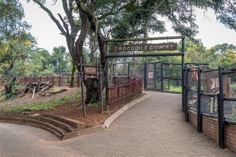 Joburg Zoo: No animal contracted Covid-19