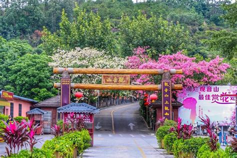 东莞观音山旅游风景区（4a）预订地址价格查询 【要出发， 有品质的旅行】