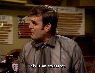 Monty Python: Parrot Sketch | Monty python, Repose en paix, Rire