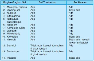 perbedaan sel hewan  sel tumbuhan beserta gambar