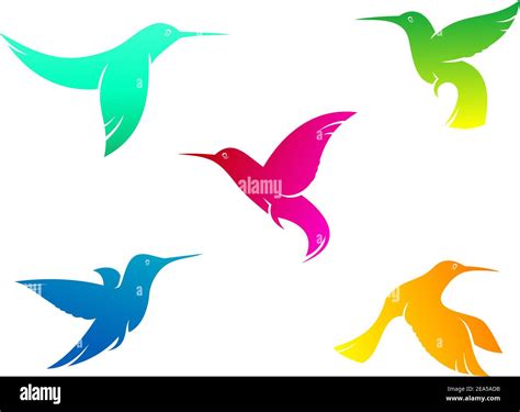 Flying Hummingbirds Set With Color Plumage Isolated On White Background