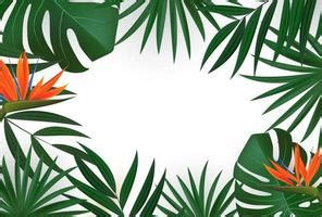 Palm Tree Border Vector Art, Icons, and Graphics for Free Download