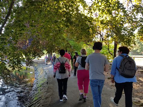 Greener walking paths will soon redefine the look of Caledonian Road London 26