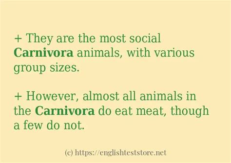 Carnivora Examples