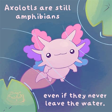 Gay Breakfast Pin Club Creating LGBTQ Enamel