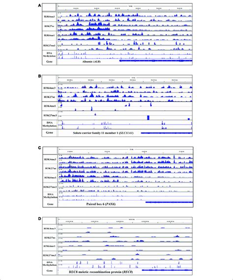 Integrative Genomics Viewer Igv Screenshot Of Sequence Pileup