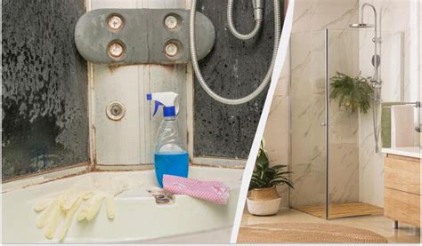 Чем отмыть налет в душевой кабине - копеечное средство — УНИАН