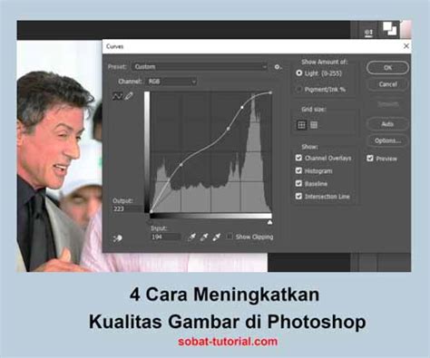 Cara Meningkatkan Kualitas Gambar Di Photoshop Sobat Tutorial