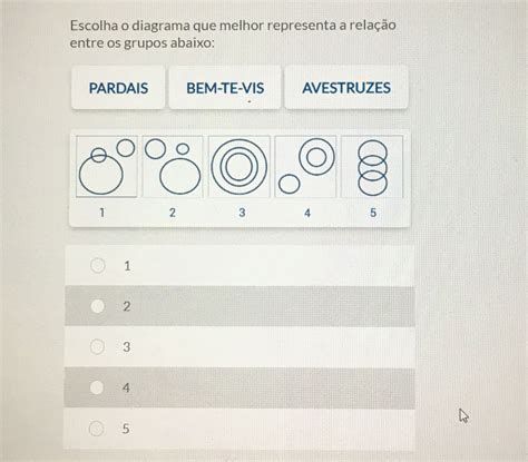 Escolha O Diagrama Que Melhor Representa Papagaios Gaivotas Corujas