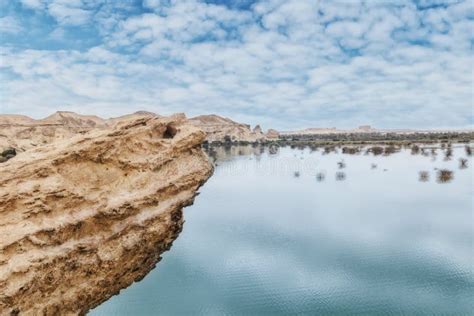 Dry Oasis In The Namibe Desert Angola Africa Stock Photo Image Of